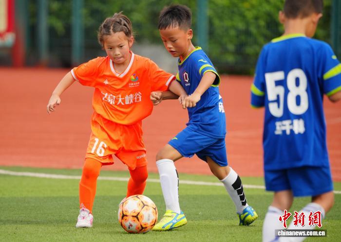 陕西洋县第五届朱鹮杯青少年足球赛圆满落幕 多